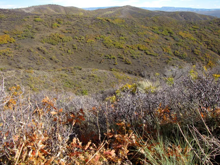 The country you'll be hunting on the Cherry Ranch
