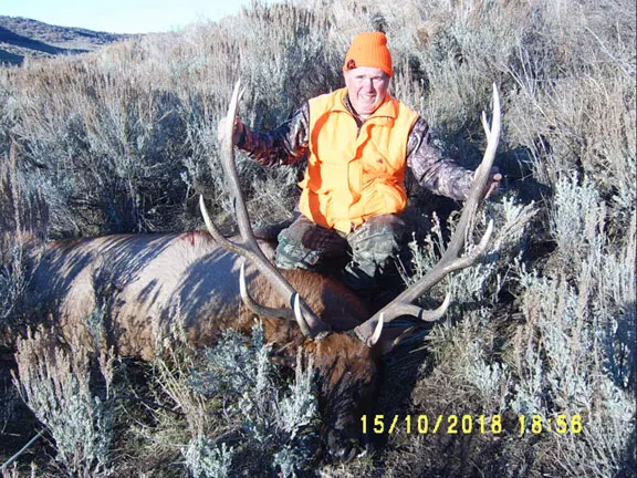 Rifle hunter in blaze orange with his bull elk, 2018