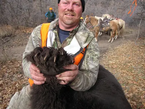 The black bear's paw