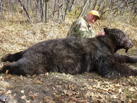 Huge Black Bear taken by Bill Childers in 2010