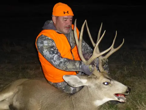 Hunter in blaze orange with a mule deer buck