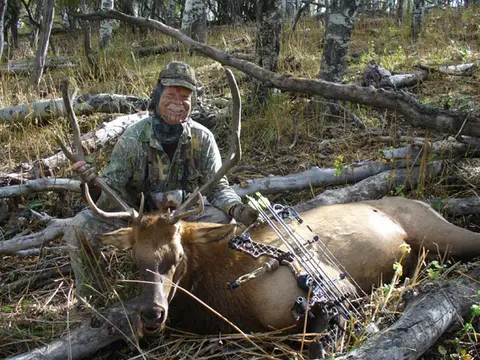 Bow hunter with a bull elk