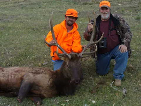 Two hunters with a bull elk