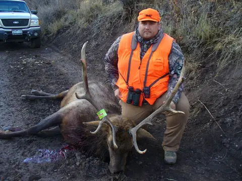 Hunter in blaze orange with a bull elk