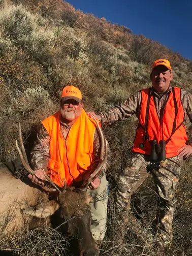 Two hunters in blaze orange with a bull elk