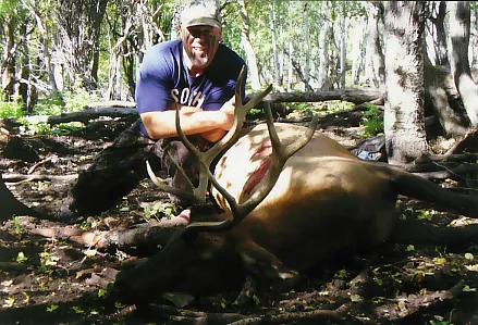 Dave Foggin, West Virginia - Archery Elk