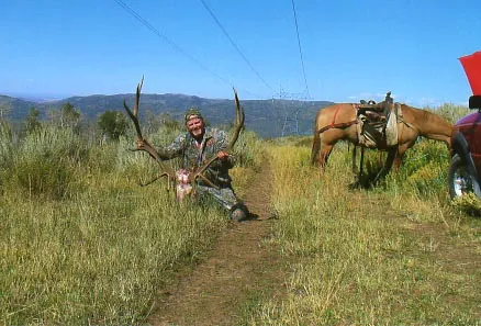 Muzzleloader Bull - Curtis Cherry
