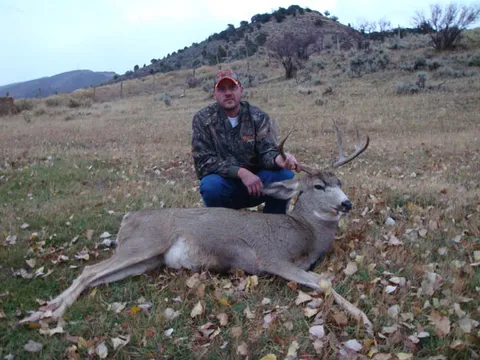 Greg Westfall Buck