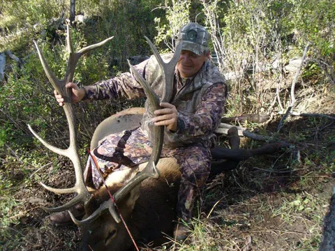 Dave Beach Archery Bull