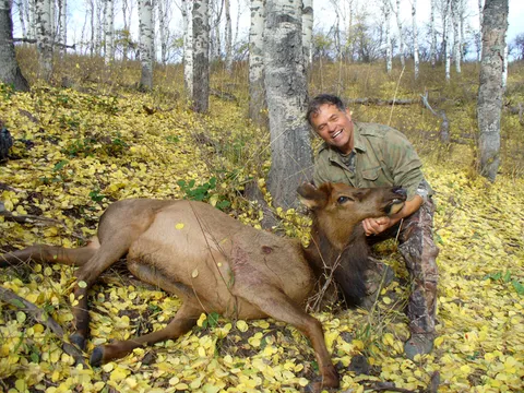 Brent Toups Cow Elk - (Did this camel die on the way to the oasis?)