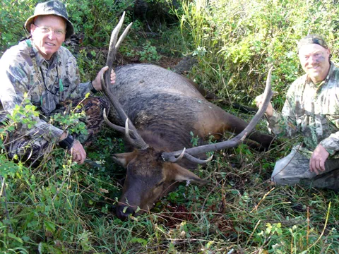 Nice spread on this 5 point Bull