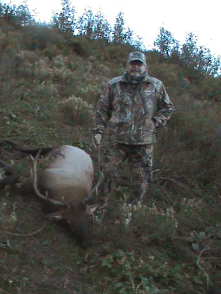 Dave Beach got this Nice - Bull in Beautiful Country