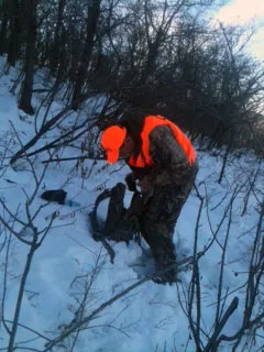 Huntin' in the snow