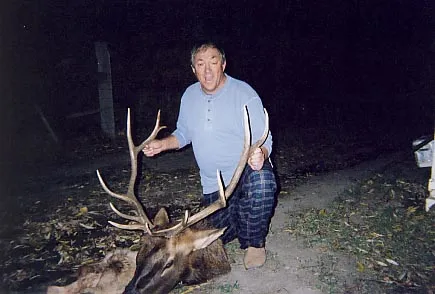 Archive bull: Spencer Skipworth Bull